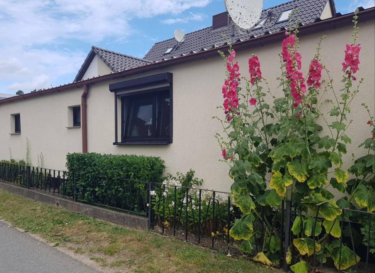 Ferienhaus An Der Ostsee ريريك المظهر الخارجي الصورة